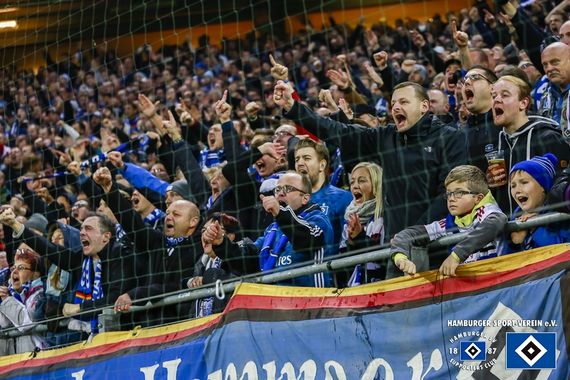 Hamburger SV vs VfB Stuttgart (3-1) (11)