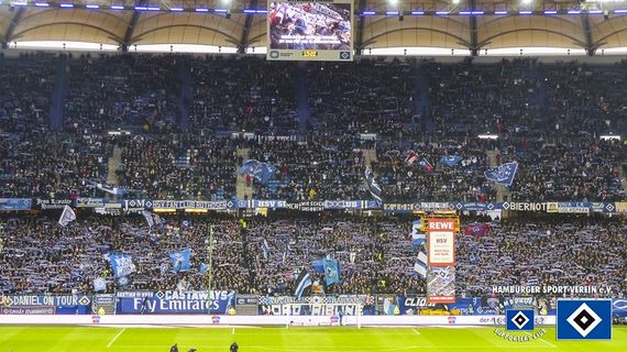 Hamburger SV vs TSG Hoffenheim (3-0) (2)