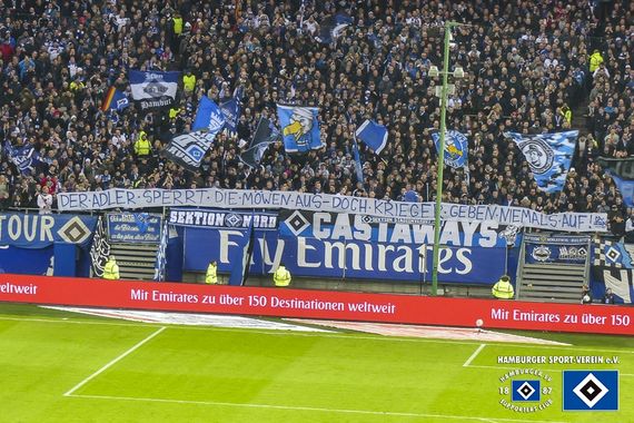 Hamburger SV vs TSG Hoffenheim (3-0) (6)
