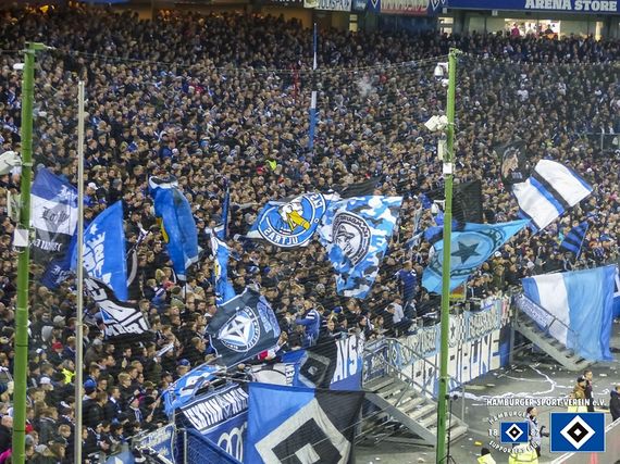 Hamburger SV vs TSG Hoffenheim (3-0) (7)