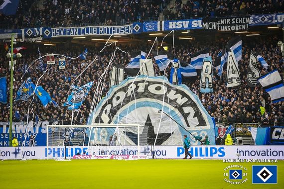 Hamburger SV vs TSG Hoffenheim (3-0) (14)