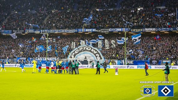 Hamburger SV vs TSG Hoffenheim (3-0) (15)
