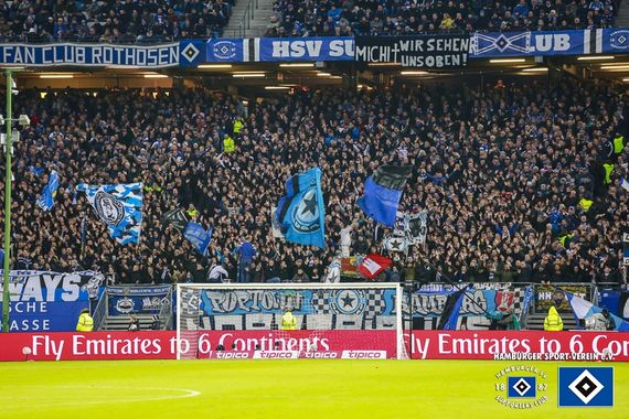 Hamburger SV vs TSG Hoffenheim (3-0) (17)