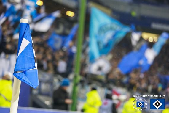 Hamburger SV vs TSG Hoffenheim (3-0) (18)