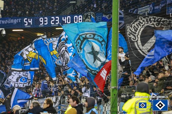 Hamburger SV vs TSG Hoffenheim (3-0) (20)