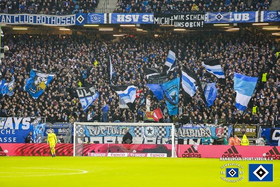 Hamburger SV vs TSG Hoffenheim (3-0) (21)