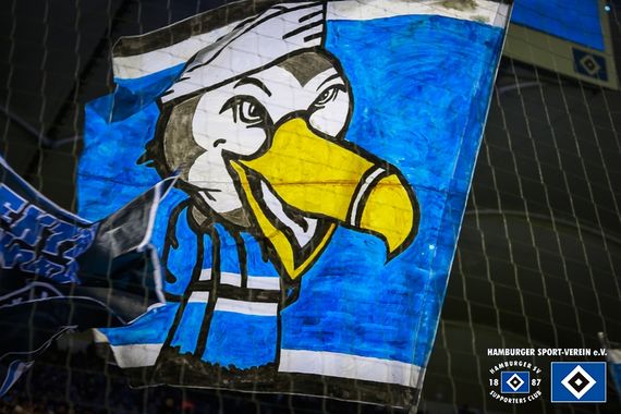 Hamburger SV vs TSG Hoffenheim (3-0) (22)