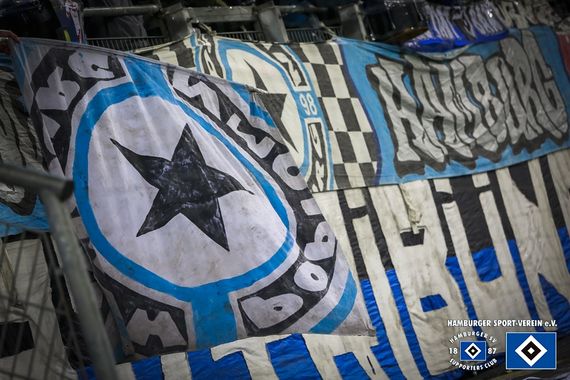 Hamburger SV vs TSG Hoffenheim (3-0) (23)