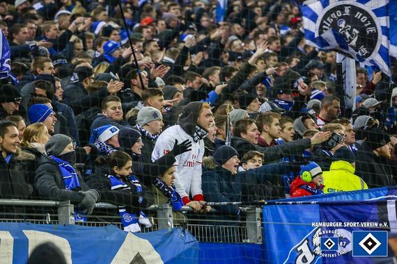 Hamburger SV vs VfL Wolfsburg (0-0) (22)