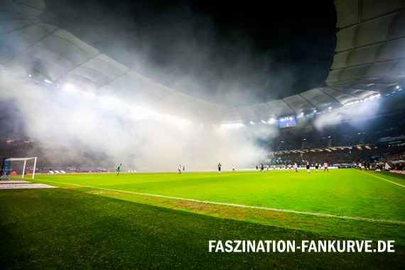 Hamburger SV vs Eintracht Frankfurt (1-2) (8)