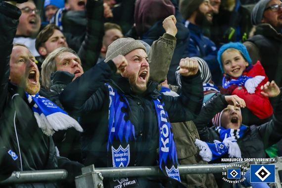 Hamburger SV vs Hannover 96 (1-1) (27)