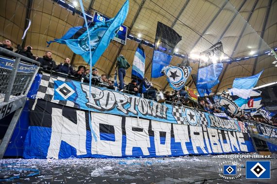 Hamburger SV vs Bayer 04 Leverkusen (1-2) (19)