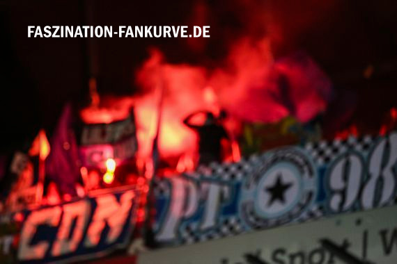 Werder Bremen vs Hamburger SV (1-0) (7)