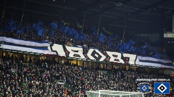 Werder Bremen vs Hamburger SV (1-0) (17)