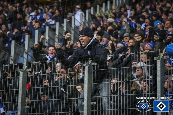 Hamburger SV vs Hertha BSC (1-2) (20)