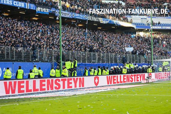 Hamburger SV vs Hertha BSC (1-2) (25)