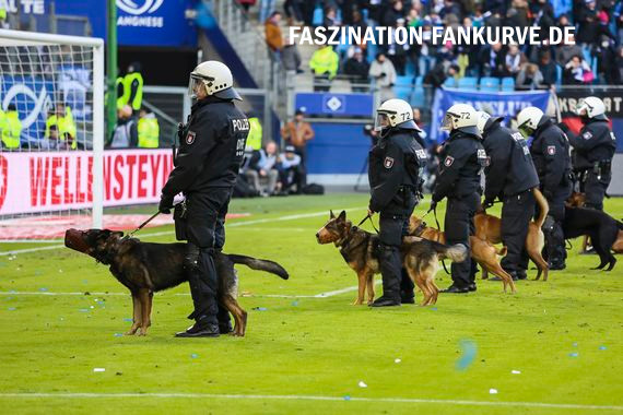 Hamburger SV vs Hertha BSC (1-2) (27)