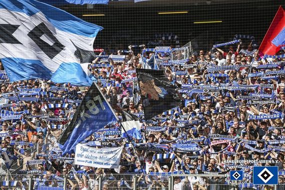 Hamburger SV vs SC Freiburg (1-0) (8)