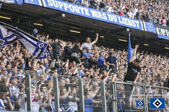 Hamburger SV vs Borussia Mönchengladbach (2-1) (36)