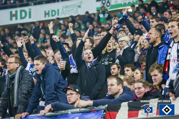 Hannover 96 vs Hamburger SV (2-0) (22)