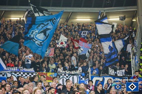 Hannover 96 vs Hamburger SV (2-0) (23)