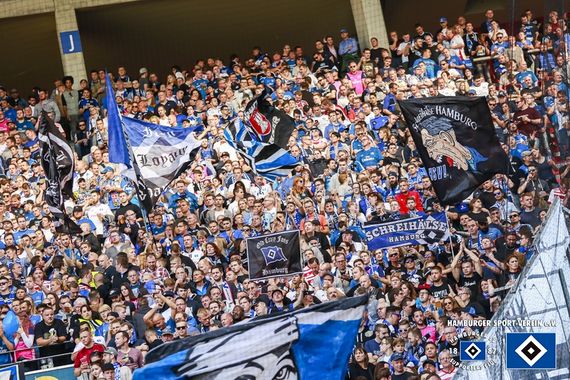 1. FSV Mainz 05 vs Hamburger SV (3-2) (14)