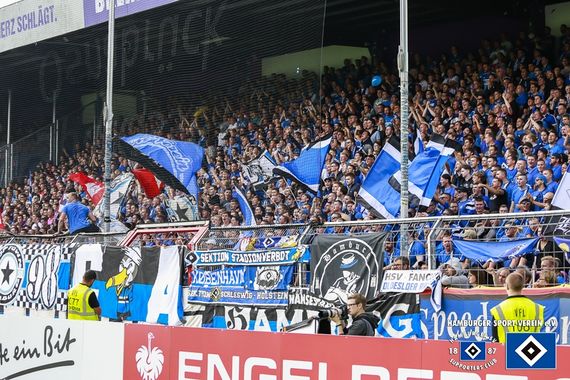 VfL Osnabrück vs Hamburger SV (3-1) (16)
