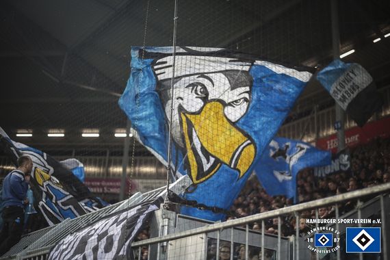 1. FC Magdeburg vs Hamburger SV (0-1) (15)