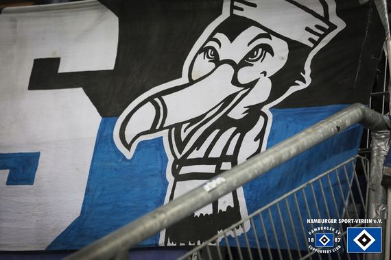 Hamburger SV vs 1. FC Köln (1-0) (6)