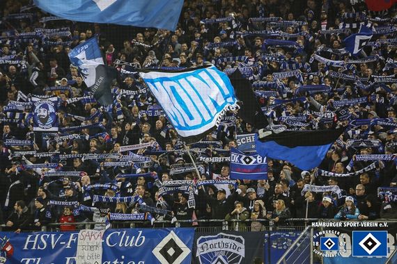 Hamburger SV vs SC Paderborn (1-0) (3)