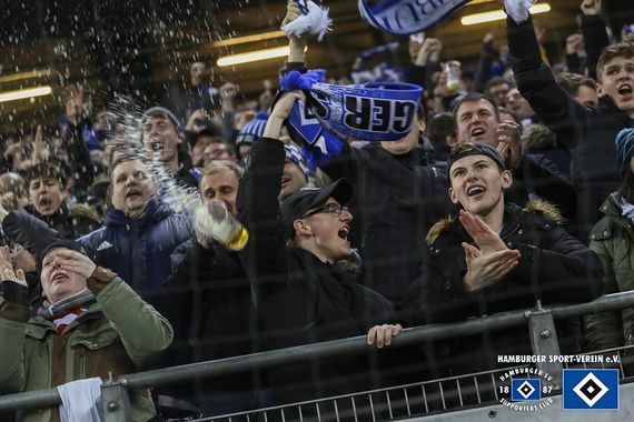 Hamburger SV vs SC Paderborn (1-0) (7)