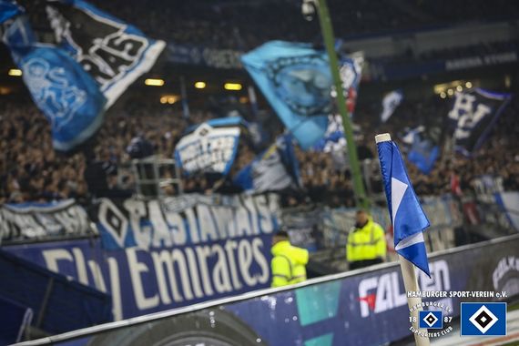 Hamburger SV vs SC Paderborn (1-0) (10)