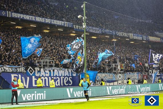 Hamburger SV vs SC Paderborn (1-0) (13)