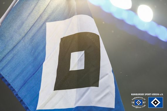 Hamburger SV vs SV Sandhausen (2-1) (2)
