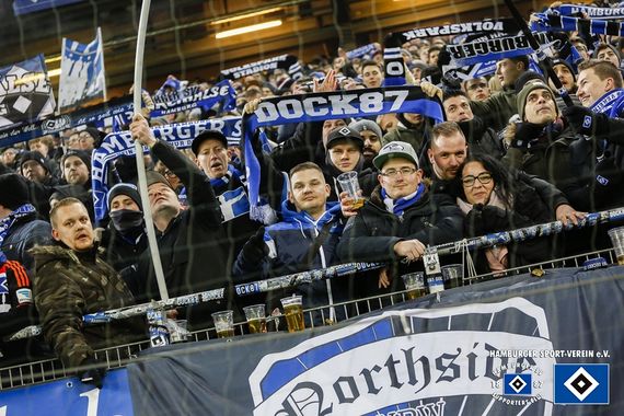 Hamburger SV vs SV Sandhausen (2-1) (4)