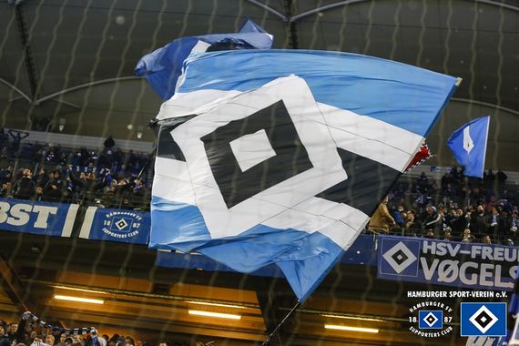 Hamburger SV vs SV Sandhausen (2-1) (5)
