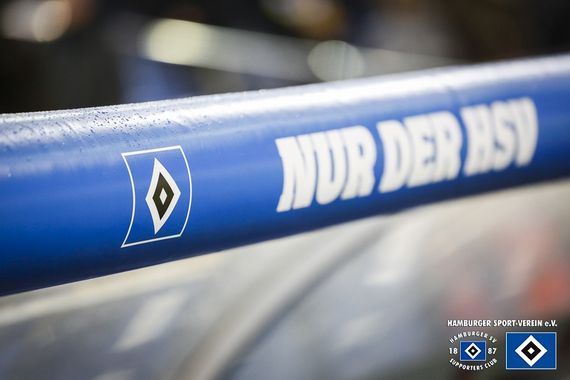 Hamburger SV vs SV Sandhausen (2-1) (7)