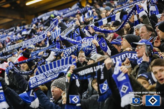 Hamburger SV vs SV Sandhausen (2-1) (8)