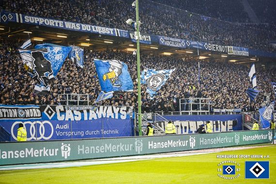 Hamburger SV vs SV Sandhausen (2-1) (9)