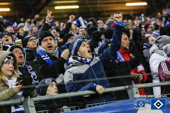 Hamburger SV vs SV Sandhausen (2-1) (12)