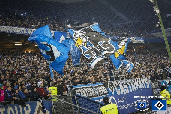 Hamburger SV vs SV Sandhausen (2-1) (13)