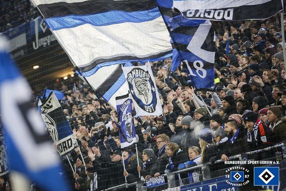 Hamburger SV vs SV Sandhausen (2-1) (15)