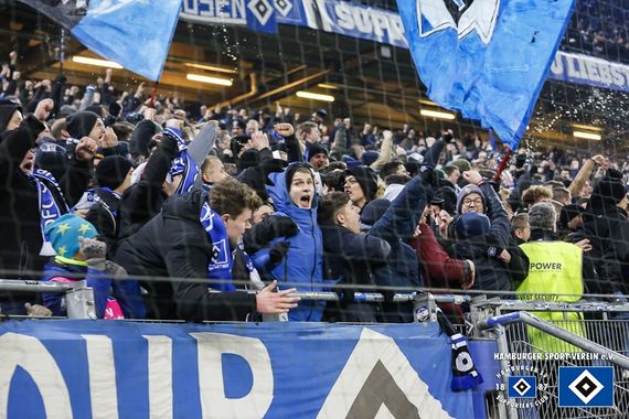 Hamburger SV vs SV Sandhausen (2-1) (16)