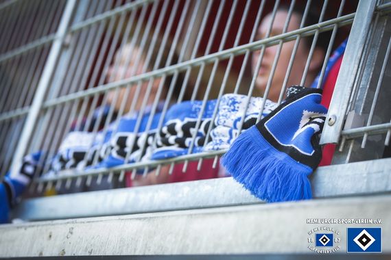 1. FC Heidenheim 1846 vs Hamburger SV (2-2) (1)