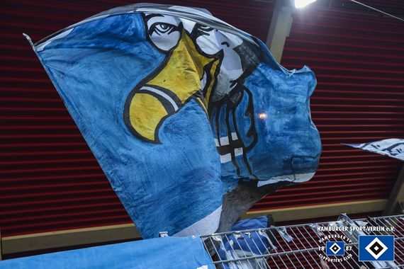 1. FC Heidenheim 1846 vs Hamburger SV (2-2) (13)