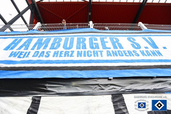 SSV Jahn Regensburg vs Hamburger SV (2-1) (7)