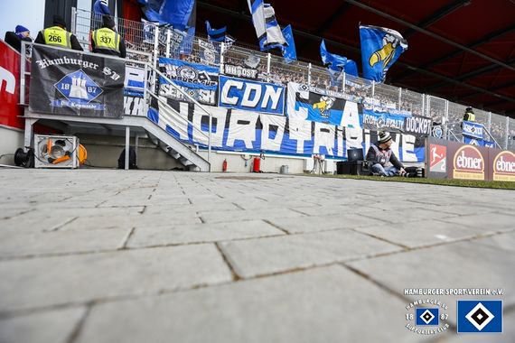SSV Jahn Regensburg vs Hamburger SV (2-1) (29)