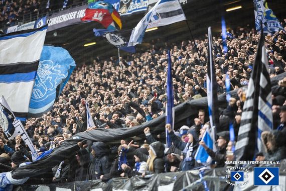 Hamburger SV vs SV Darmstadt 98 (2-3) (5)