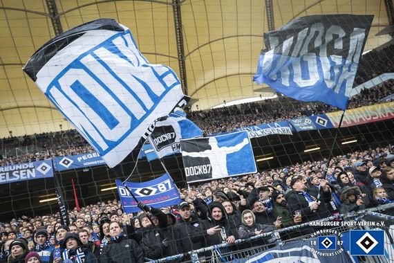 Hamburger SV vs SV Darmstadt 98 (2-3) (7)