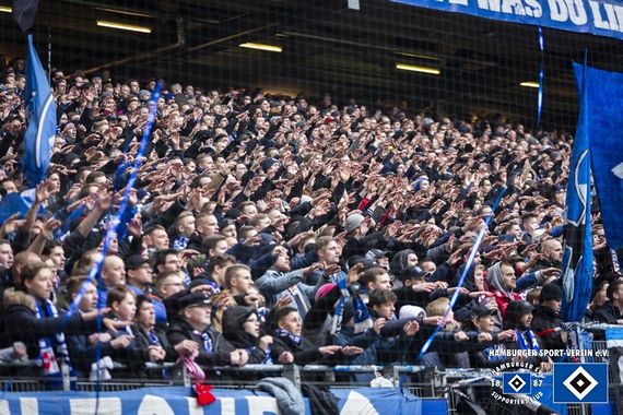 Hamburger SV vs SV Darmstadt 98 (2-3) (12)